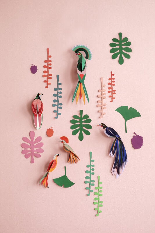 Studio Roof: bird observer