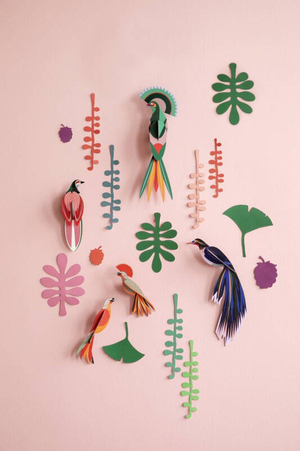 Studio Roof: bird observer