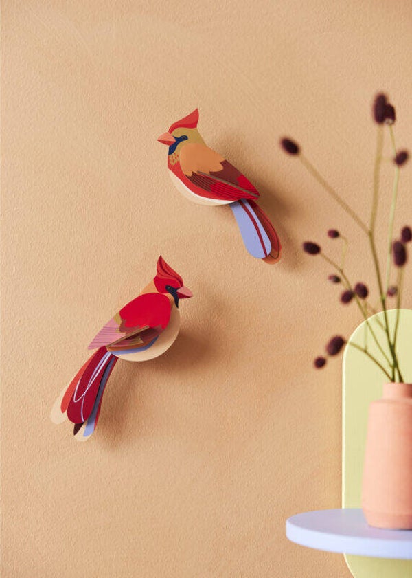 Studio Roof: Cardinals