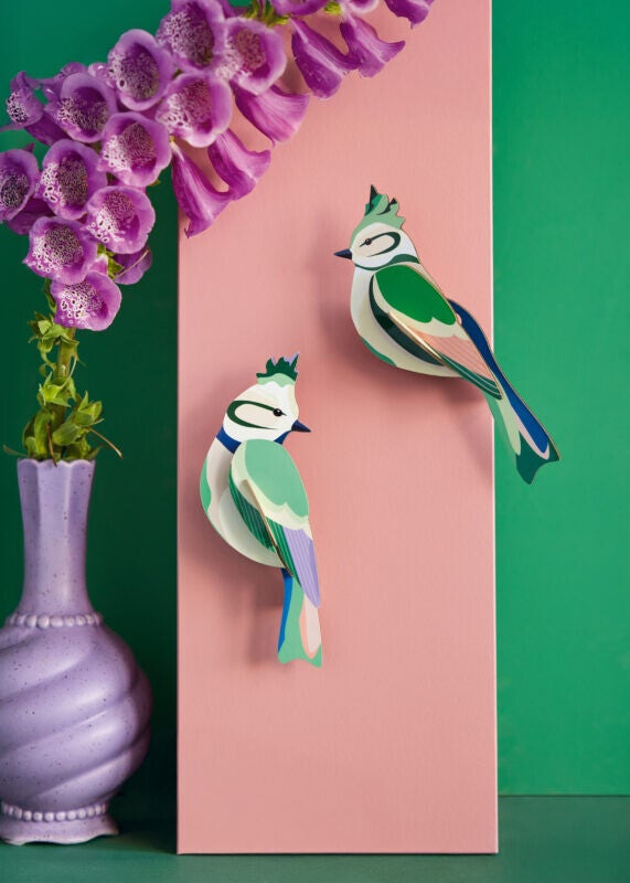 Studio Roof: forest crests