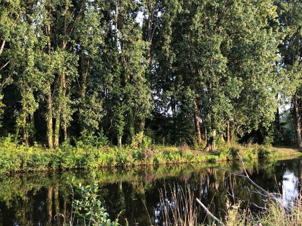 Wandeling 14u30 Heurnemeersen (met thee en taart)