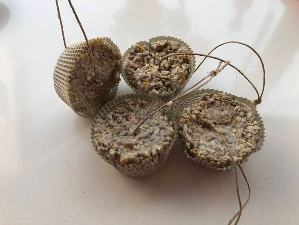 Workshop kids: 10u30: vogelcake'jes maken