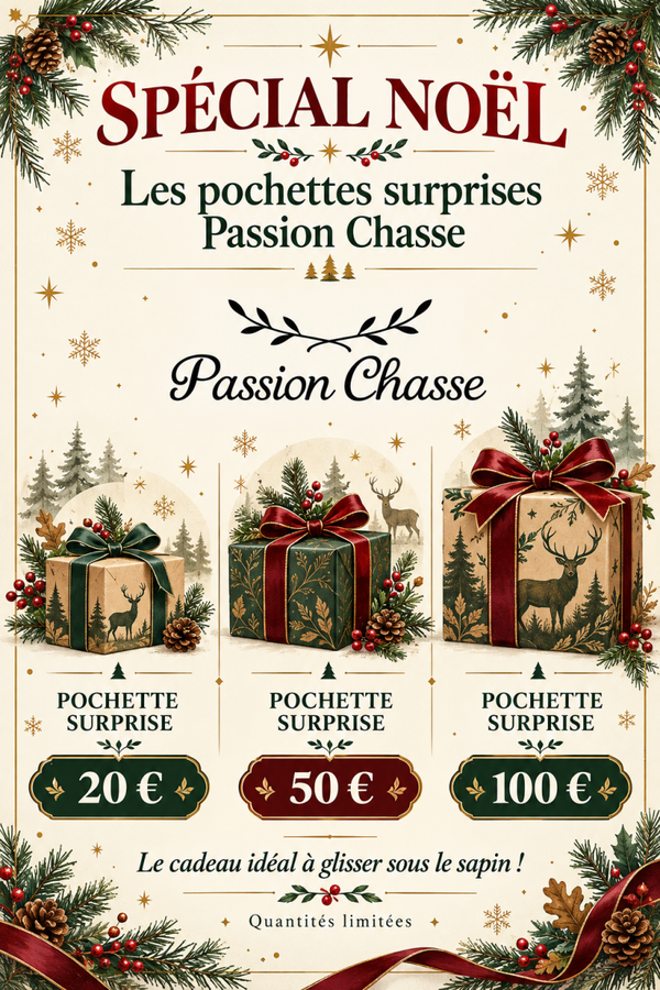 POCHETTE SURPRISE NOEL