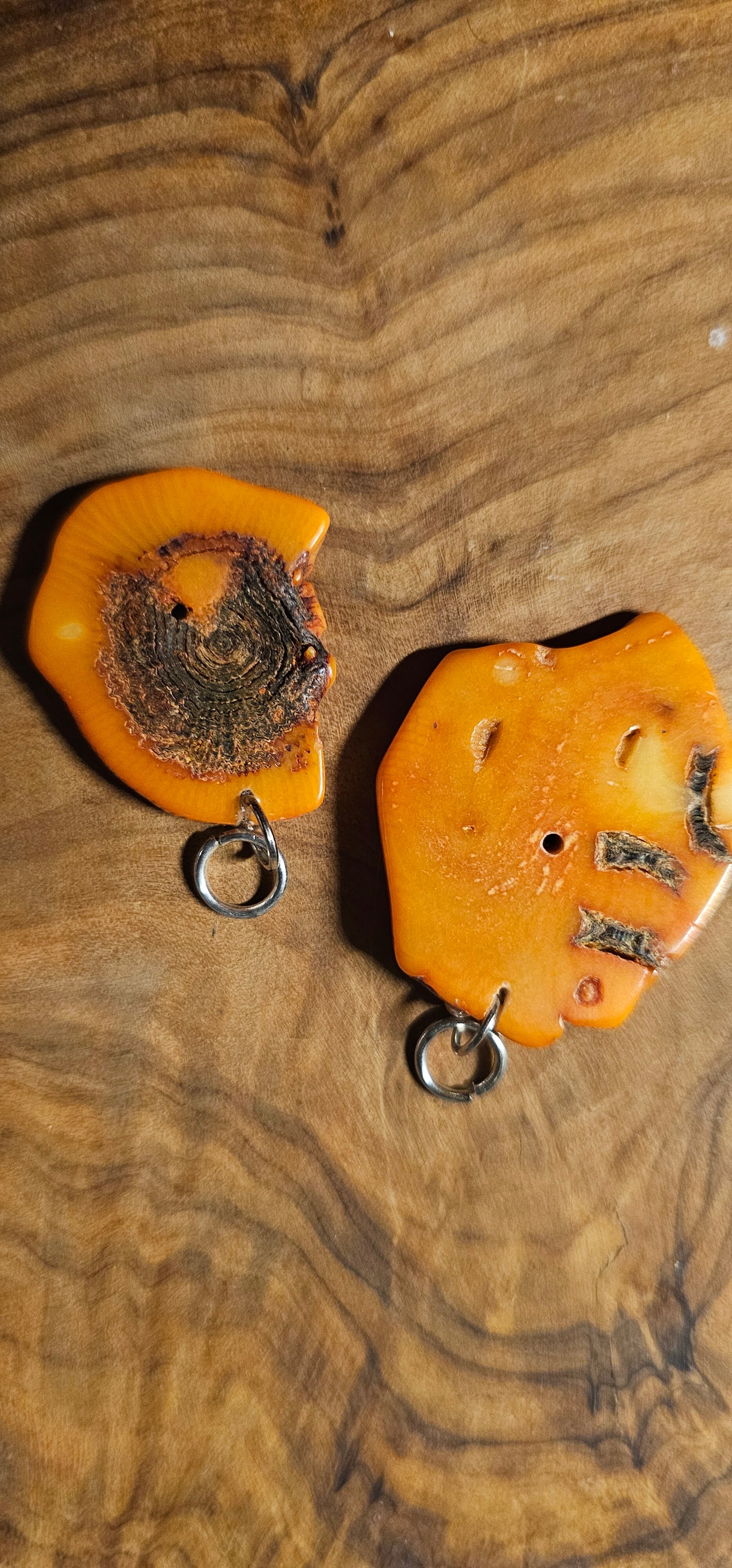 Koraal { bloed Koraal }