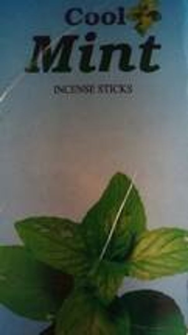 137 Wierook Cool Mint