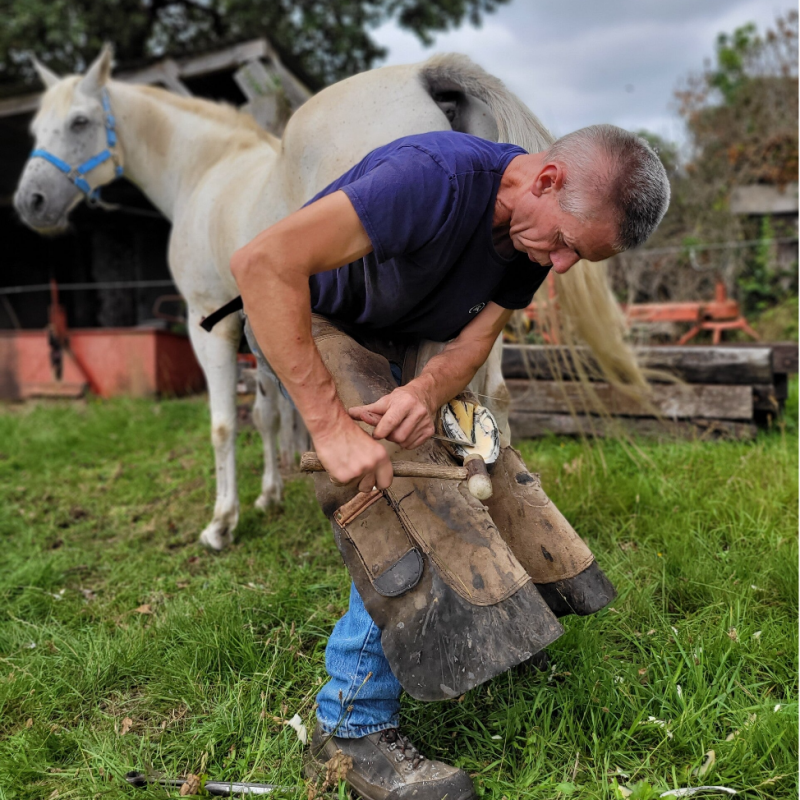 Parage des sabots par Mickael, maréchal ferrant dans le Morbihan