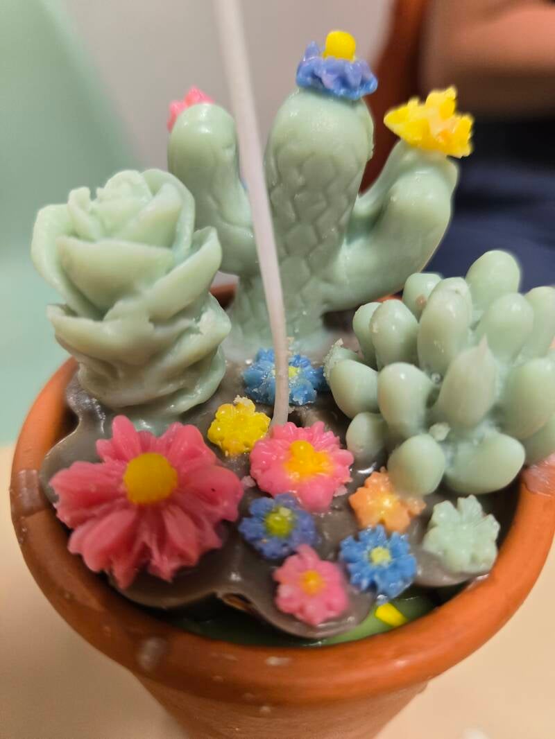 moodsbymafer_kaarsen_met_bloemen_en_geuren-standard-6fx588.jpg