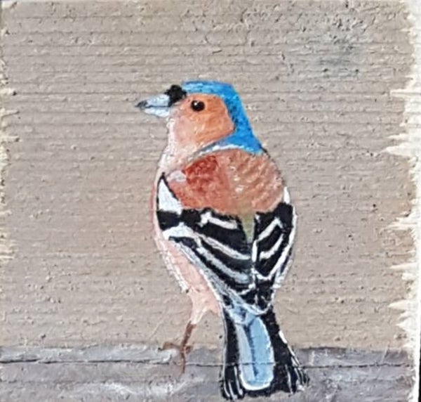 Appelvink