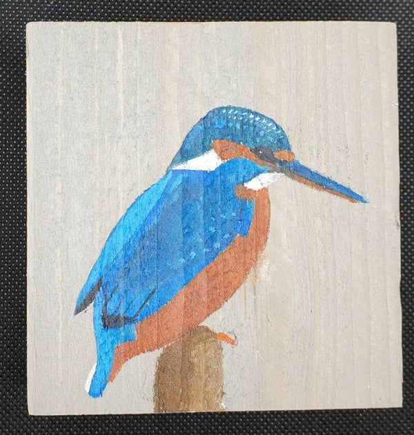 IJsvogel rechts