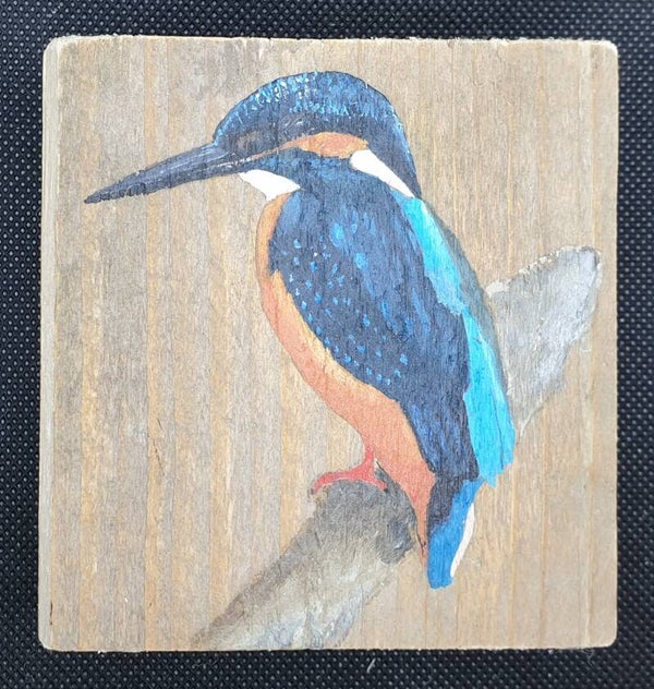 IJsvogel links