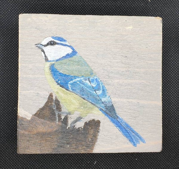 Pimpelmees op een stuk hout