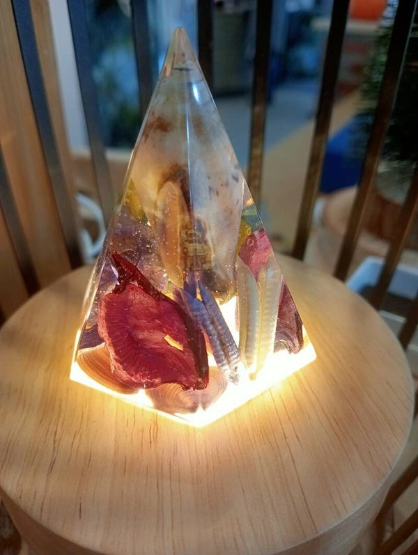 Orgonite fleurs séchées