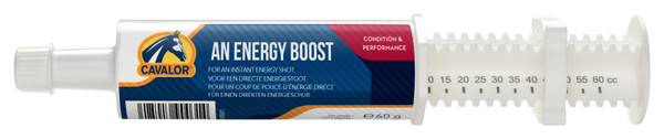AN ENERGY BOOST  Für einen schnellen Energieschub
