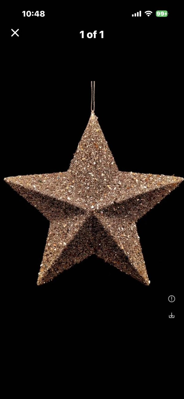 Star Ornament