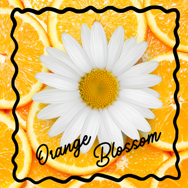 Orange Blossom