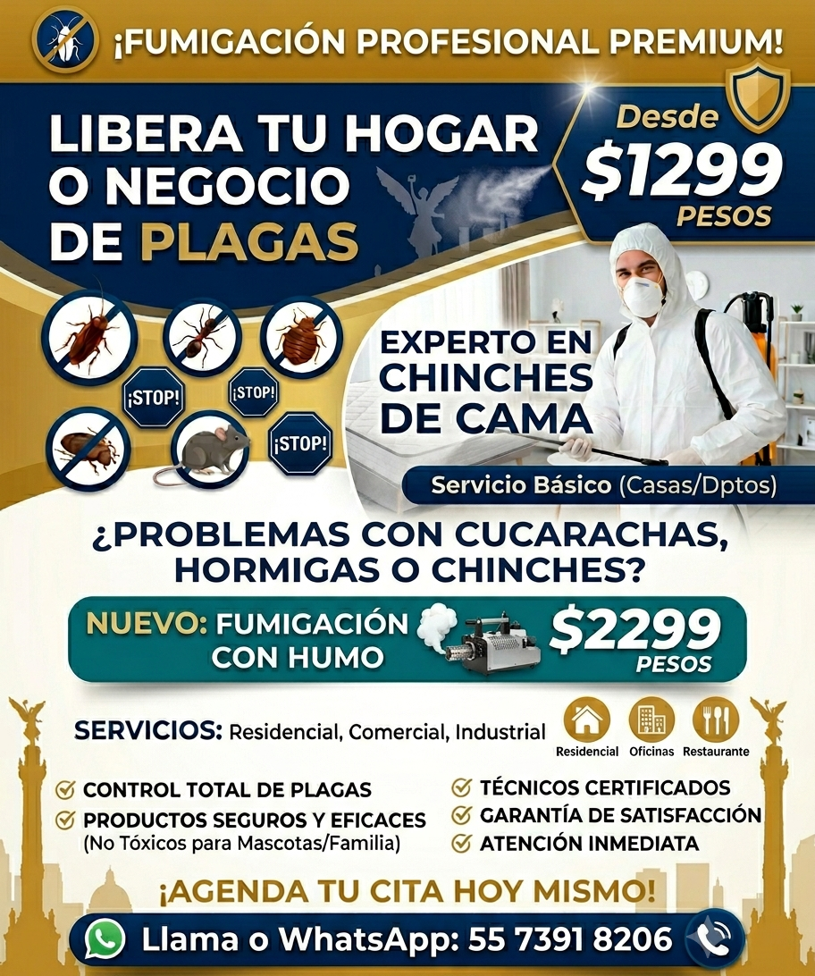 fumigación ratas control roedores fumigación oficinas fumigación CDMX exterminación ratas plagas urbanas control plagas desratización oficinas fumigación profesional plagas CDMX ratas oficinas fumigación comercial control ratas