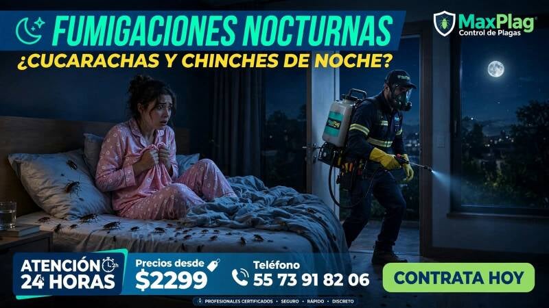 Fumigaciones nocturnas profesionales para hogares en CDMX Servicio de fumigación nocturna urgente en CDMX Fumigación nocturna contra plagas para negocios CDMX Fumigaciones nocturnas residenciales efectivas en Ciudad México Servicio profesional contra plag