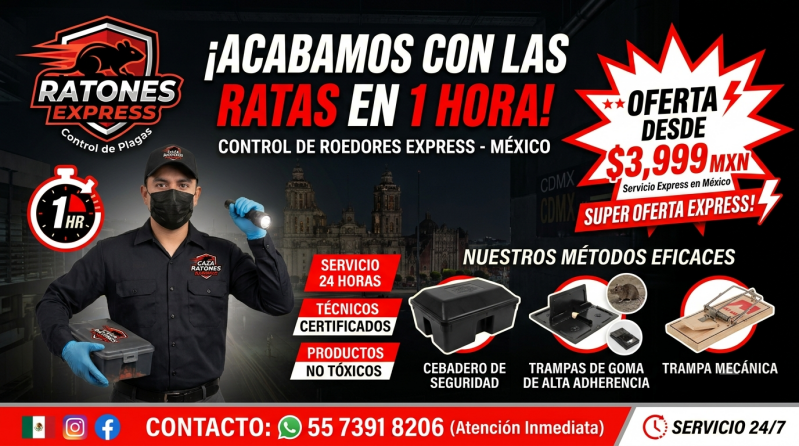 caza de ratas urgente las 24 horas control de ratas urgente las 24 horas exterminio de ratas urgente las 24 horas eliminación de ratas urgente las 24 horas servicio contra ratas urgente las 24 horas fumigación de ratas urgente las 24 horas exterminador de