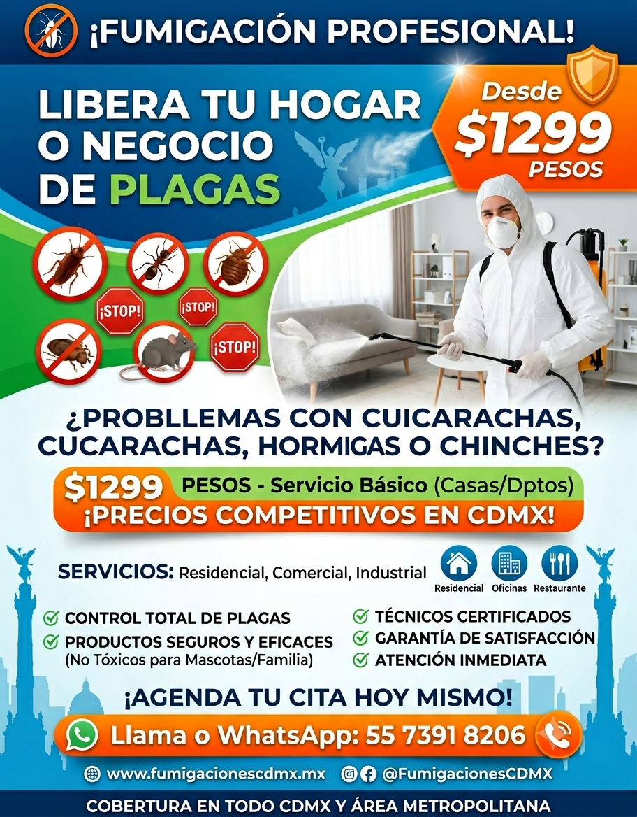 fumigación ratas control roedores fumigación oficinas fumigación CDMX exterminación ratas plagas urbanas control plagas desratización oficinas fumigación profesional plagas CDMX ratas oficinas fumigación comercial control ratas