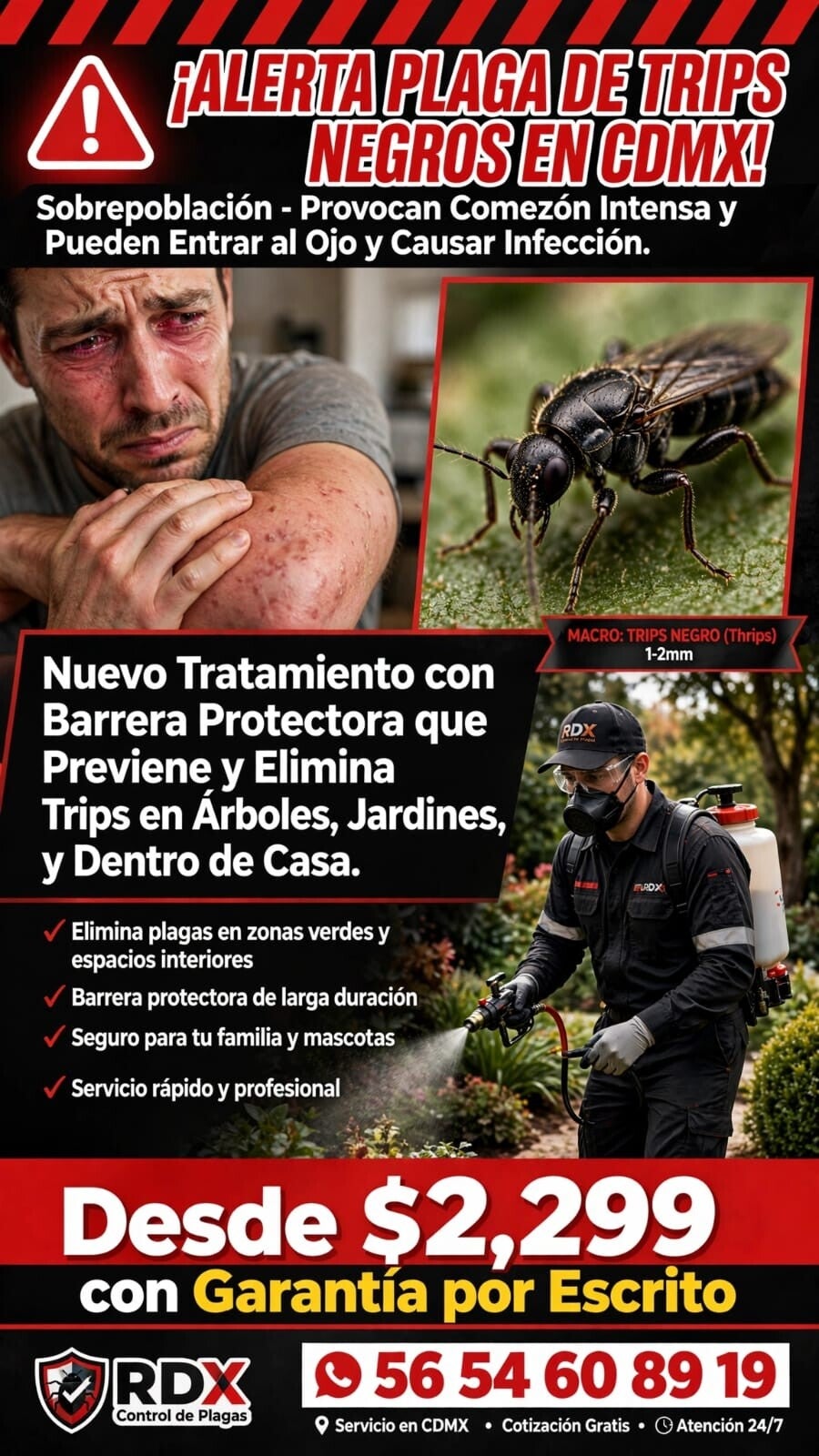 Fumigación de trips negros en CDMX con control inmediato
