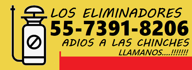 fumigación profesional de chinches en Polanco CDMX control efectivo de chinches en Polanco eliminación rápida de chinches en Polanco CDMX servicio especializado contra chinches en Polanco fumigadores expertos en chinches para Polanco tratamiento profesion