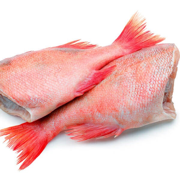 Red bream fish slap