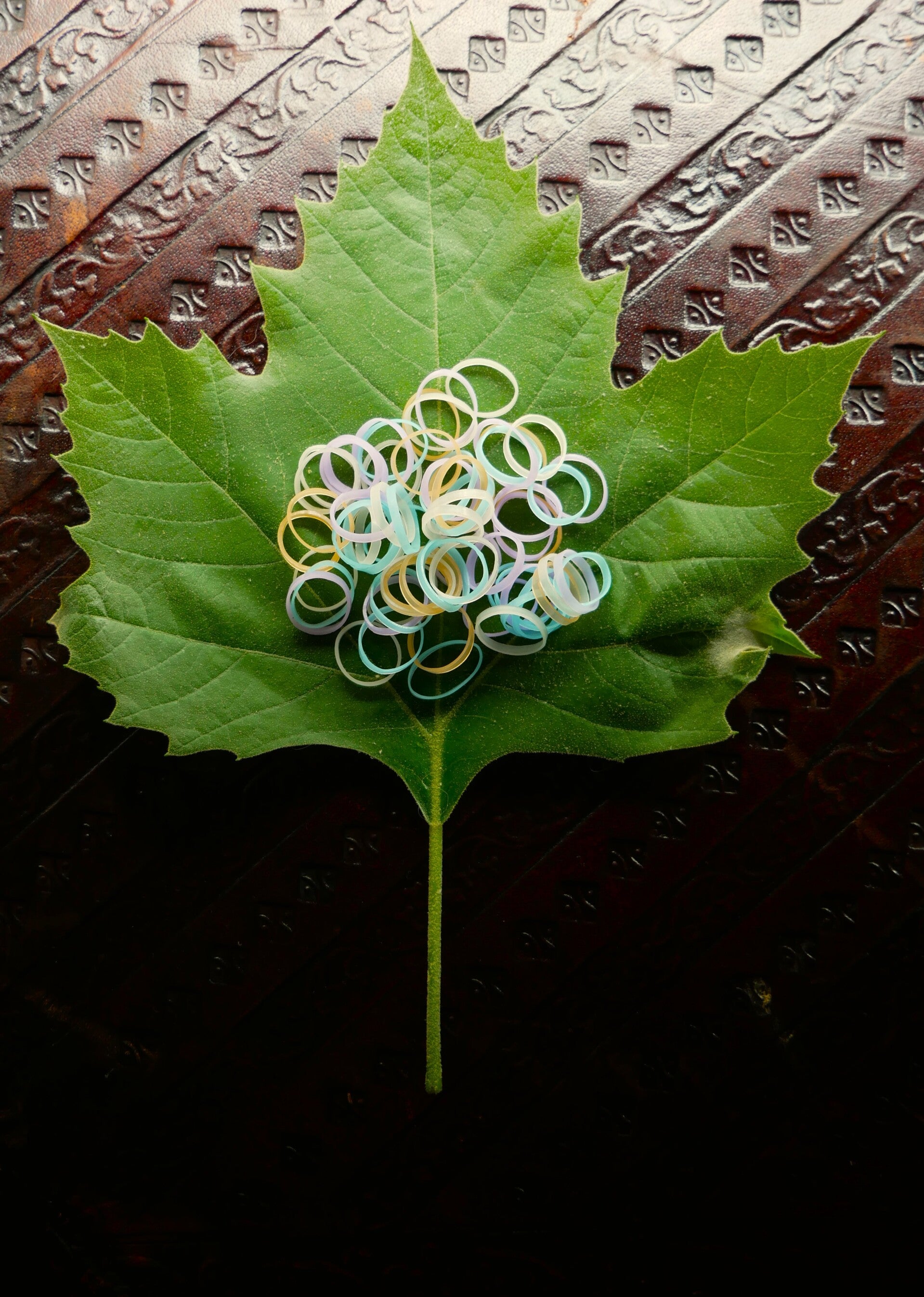 Elastiekjes. Pastel.