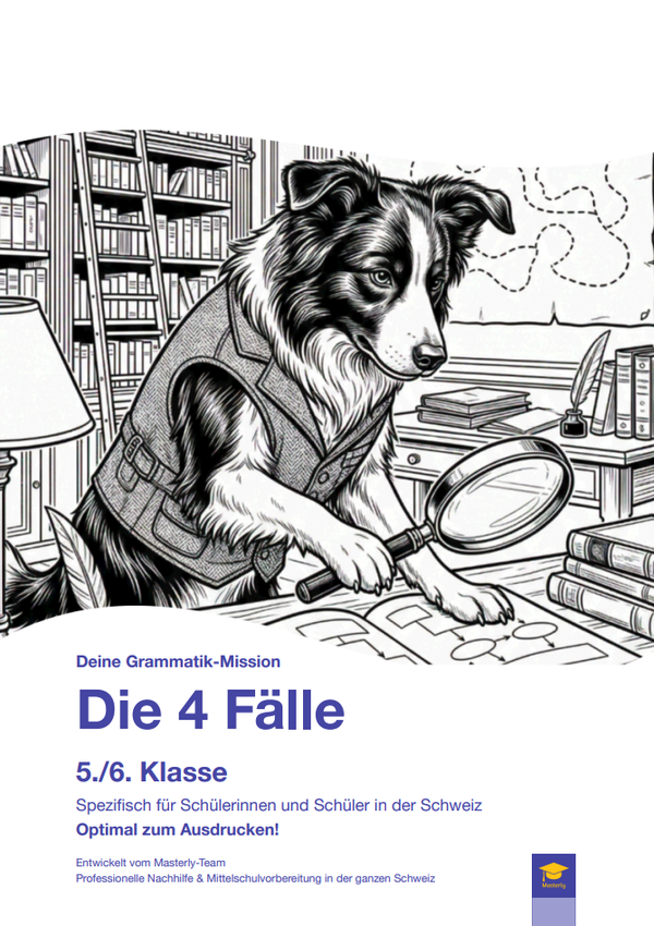 Deine Grammatik-Mission: Die 4 Fälle (5. & 6. Klasse Schweiz)