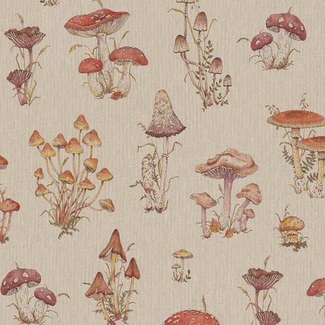 The Mushroom Stays