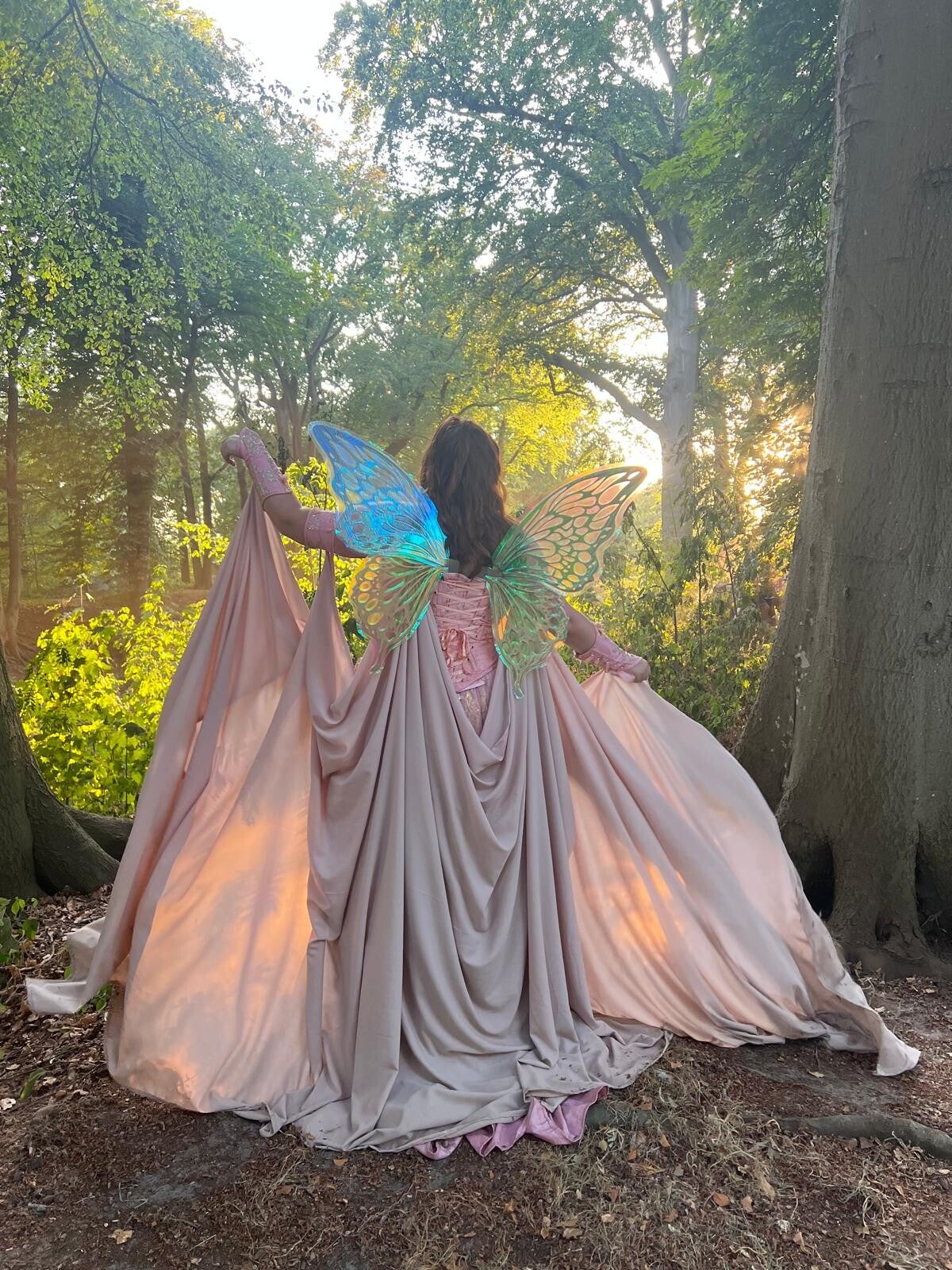 The Fairy Cloak