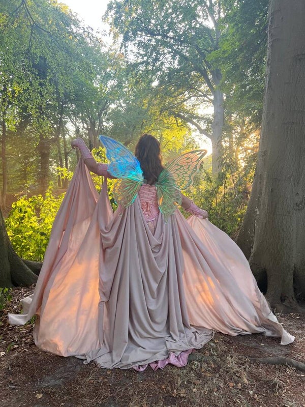 The Fairy Cloak