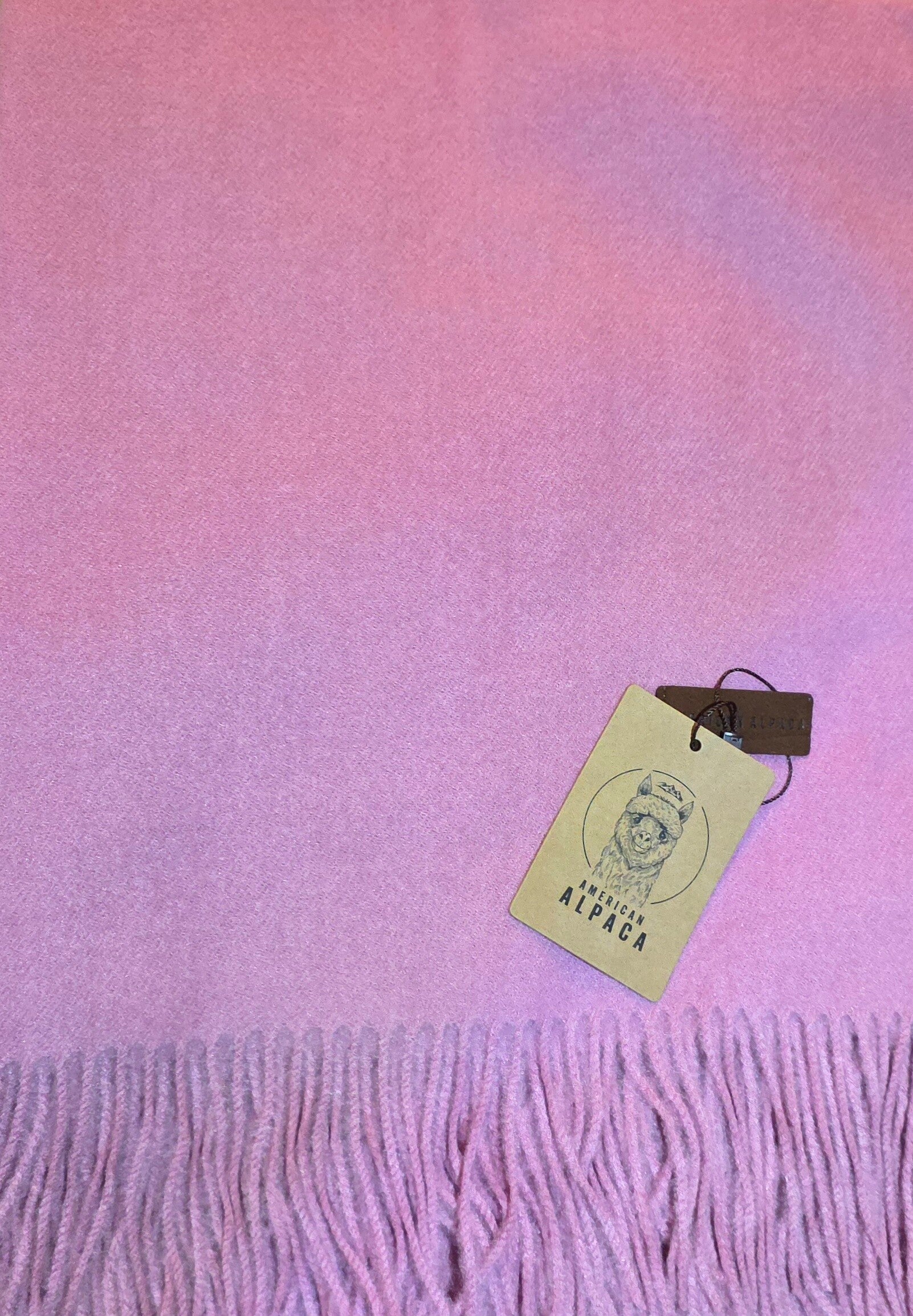 lila Alpaca American🧣