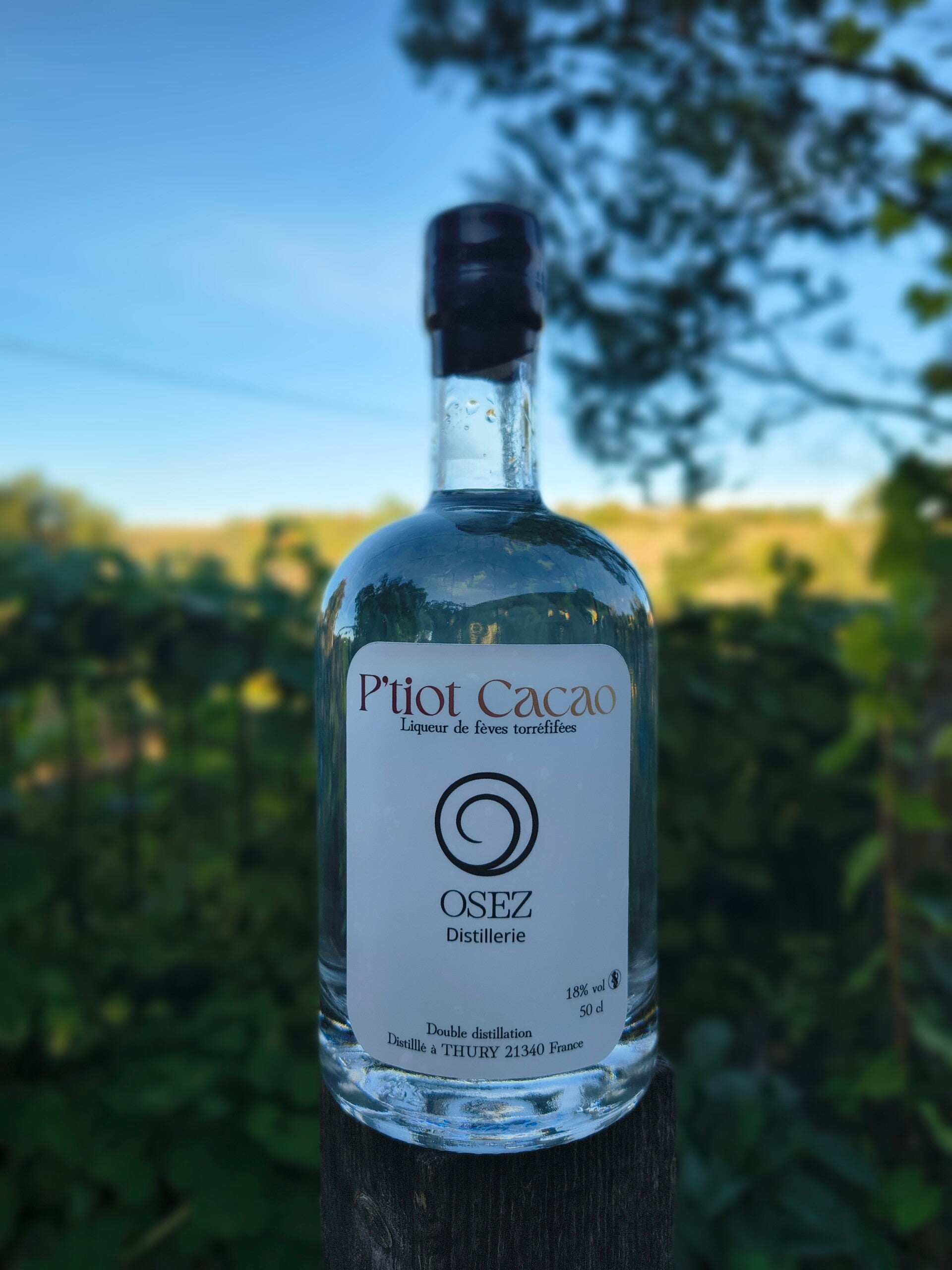 P'tiot Cacao