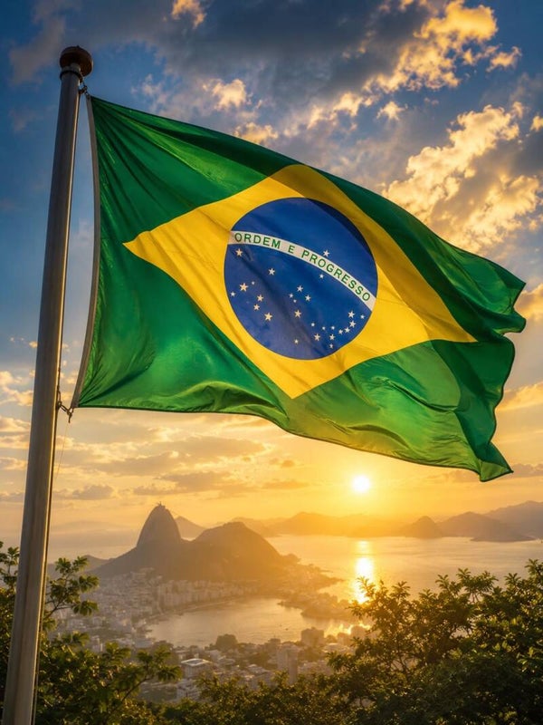 Contrato de Trabajo Brasil 🇧🇷