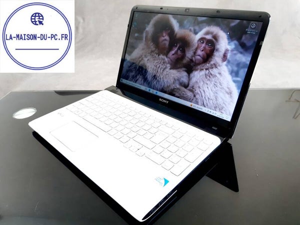Ordinateur portable Sony SVE151J11M 4GB RAM SSD 64 GB PCP0364