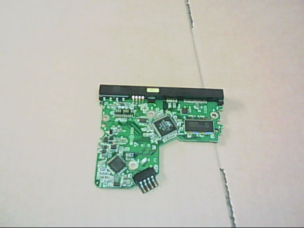 WESTERN DIGITAL