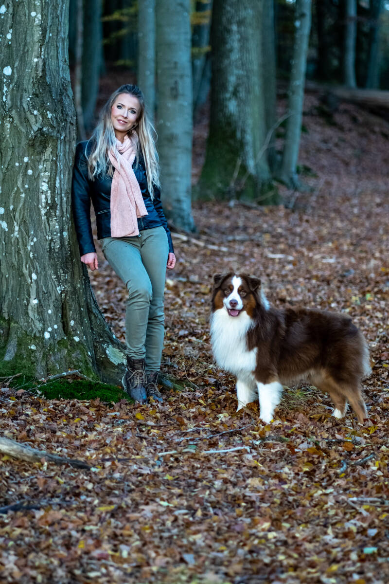 Colored Angel Aussies