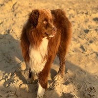 img_6549-standard-jq3mk6.jpg