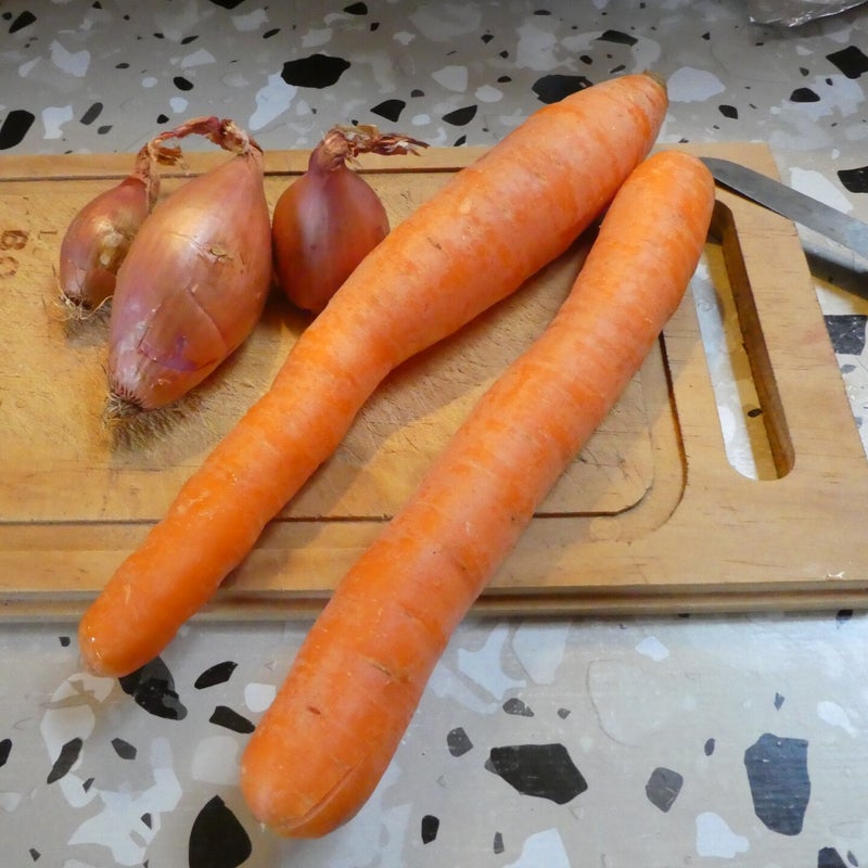 p1020109-standard.jpg