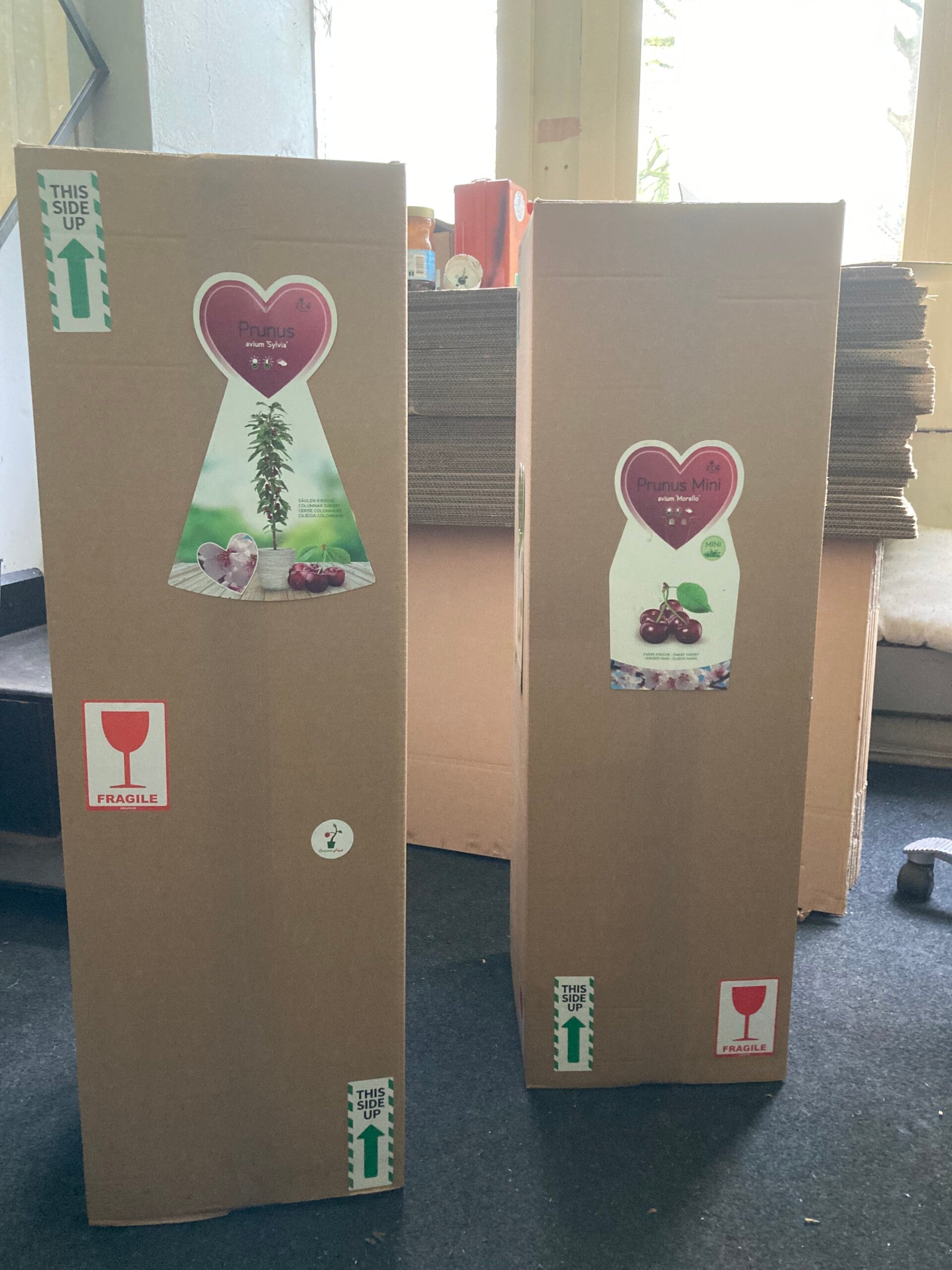 Gratis verzending van uw fruitboom