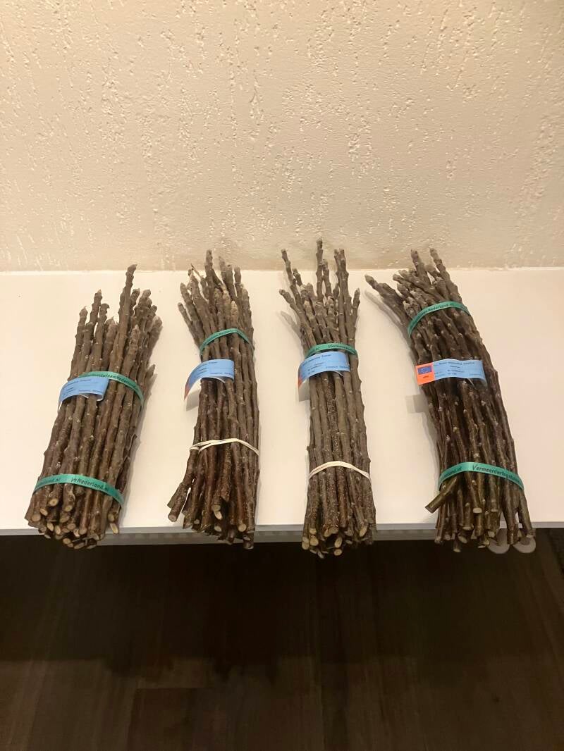 Ballerina dans collectie