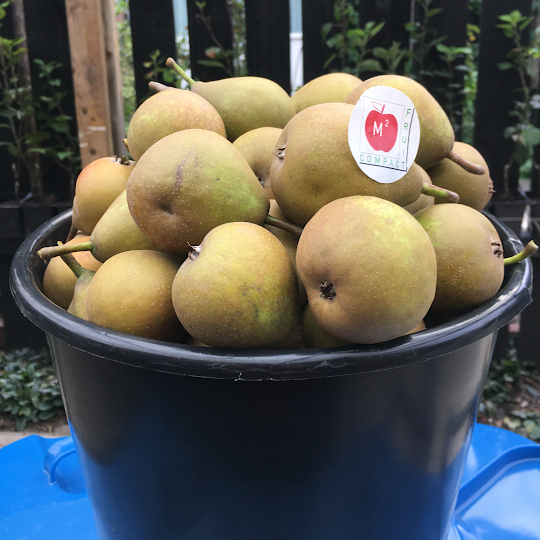 gieser wildeman zelf telen