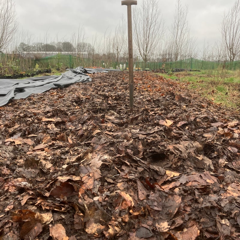 bladmulch bij fruitbomen