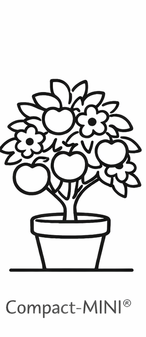 Mini fruitboom BIO