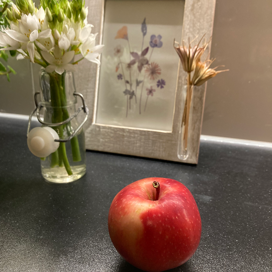 ACTIE ballerina fruitboom Red Lane