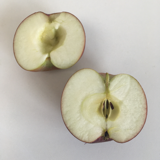 Red sensation heerlijke appel