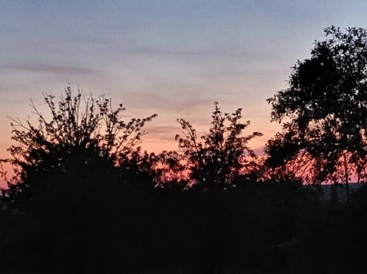 Simpel, rijl leven/Blog Bezige Bij