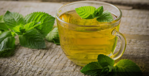 Basilicum Thee/ Blog Bezige Bij