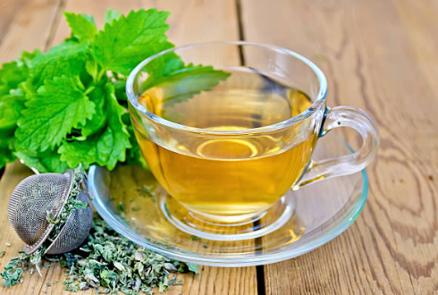 Citroenmelisse the/ Blog Beige Bij