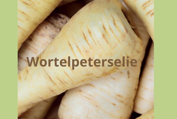 Peterselie/Blog Bezige Bij